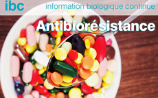 Antibiorsistance